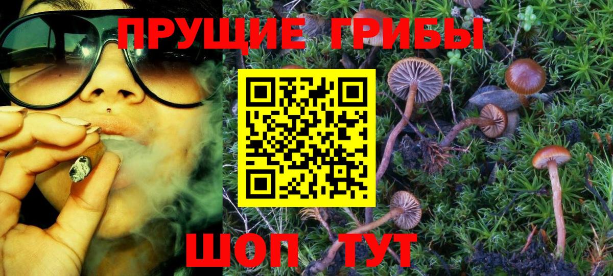 Галлюциногенные грибы Magic Shrooms  Новочебоксарск  Галлюциногенные грибы Cubensis 