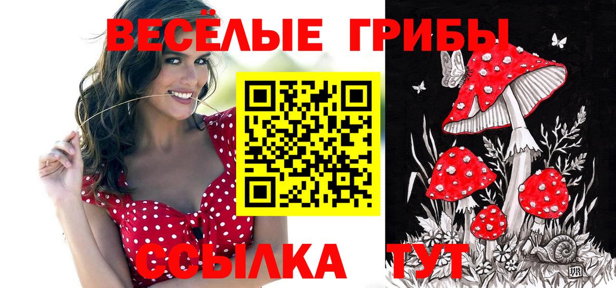 Галлюциногенные грибы GOLDEN TEACHER Новочебоксарск