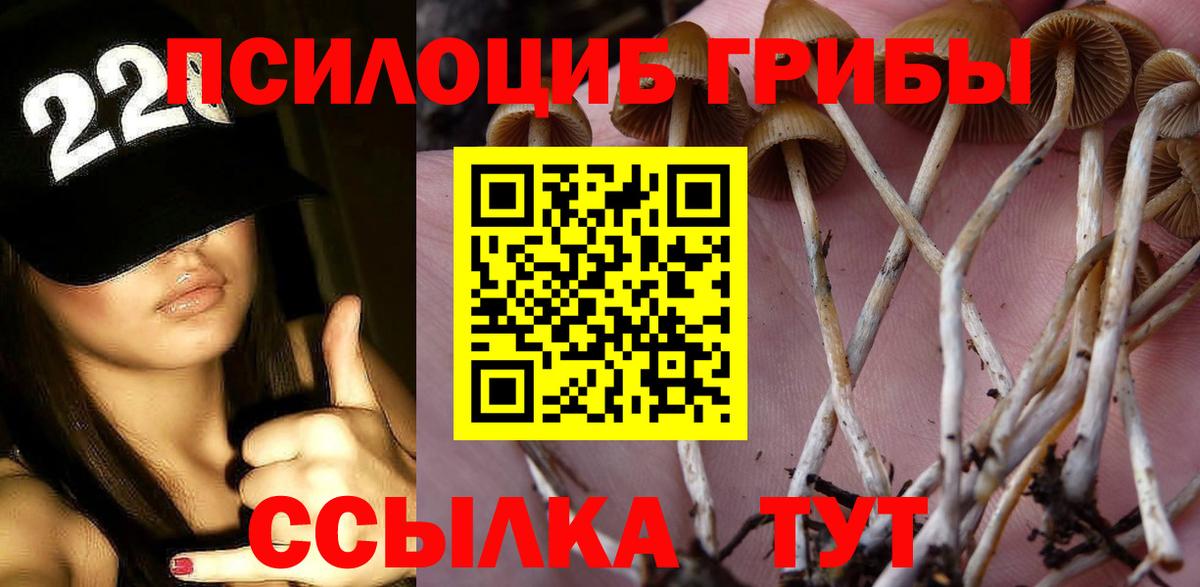Псилоцибиновые грибы ЛСД Новочебоксарск